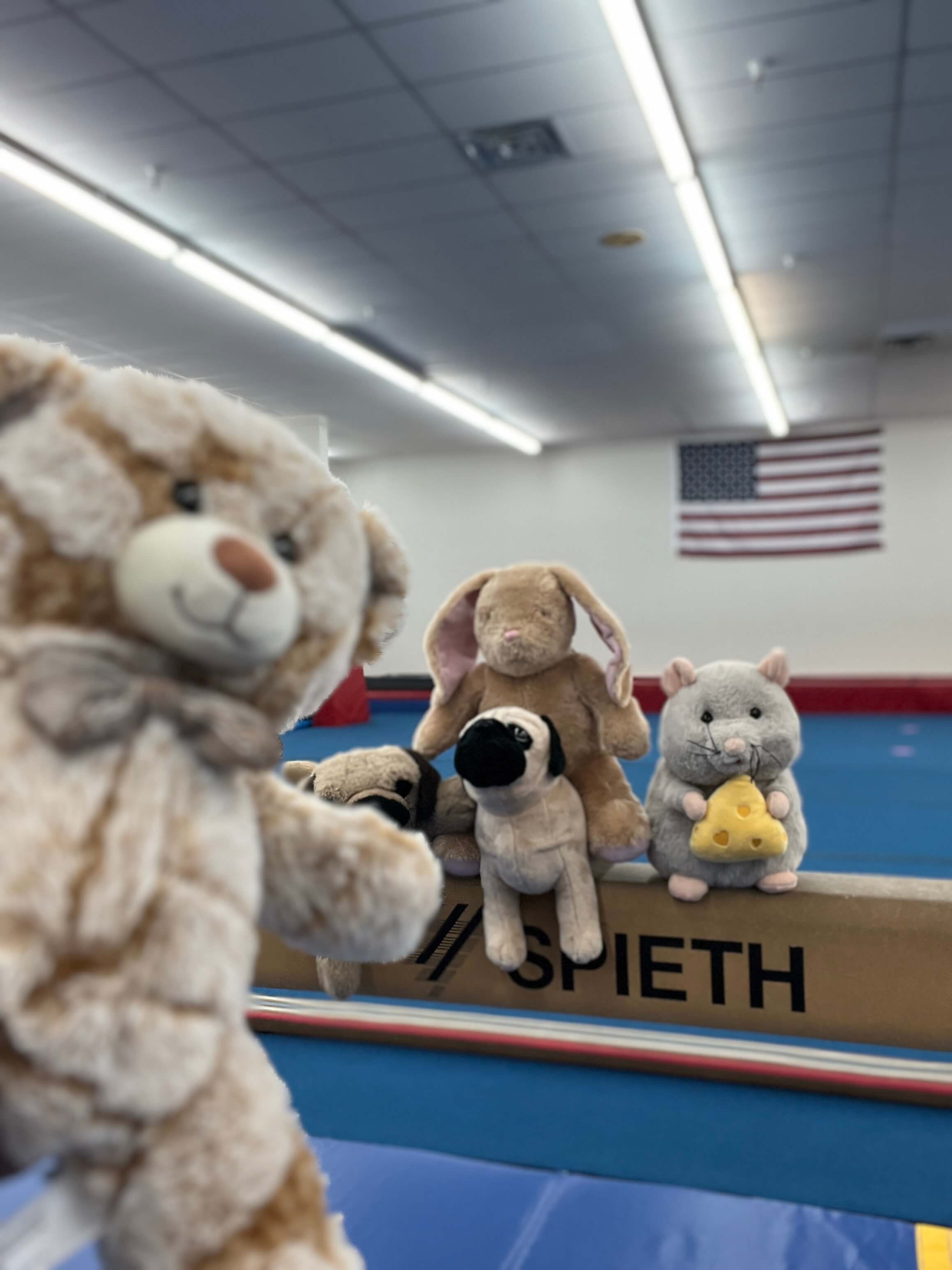 Stuffed Animal Sleepover
