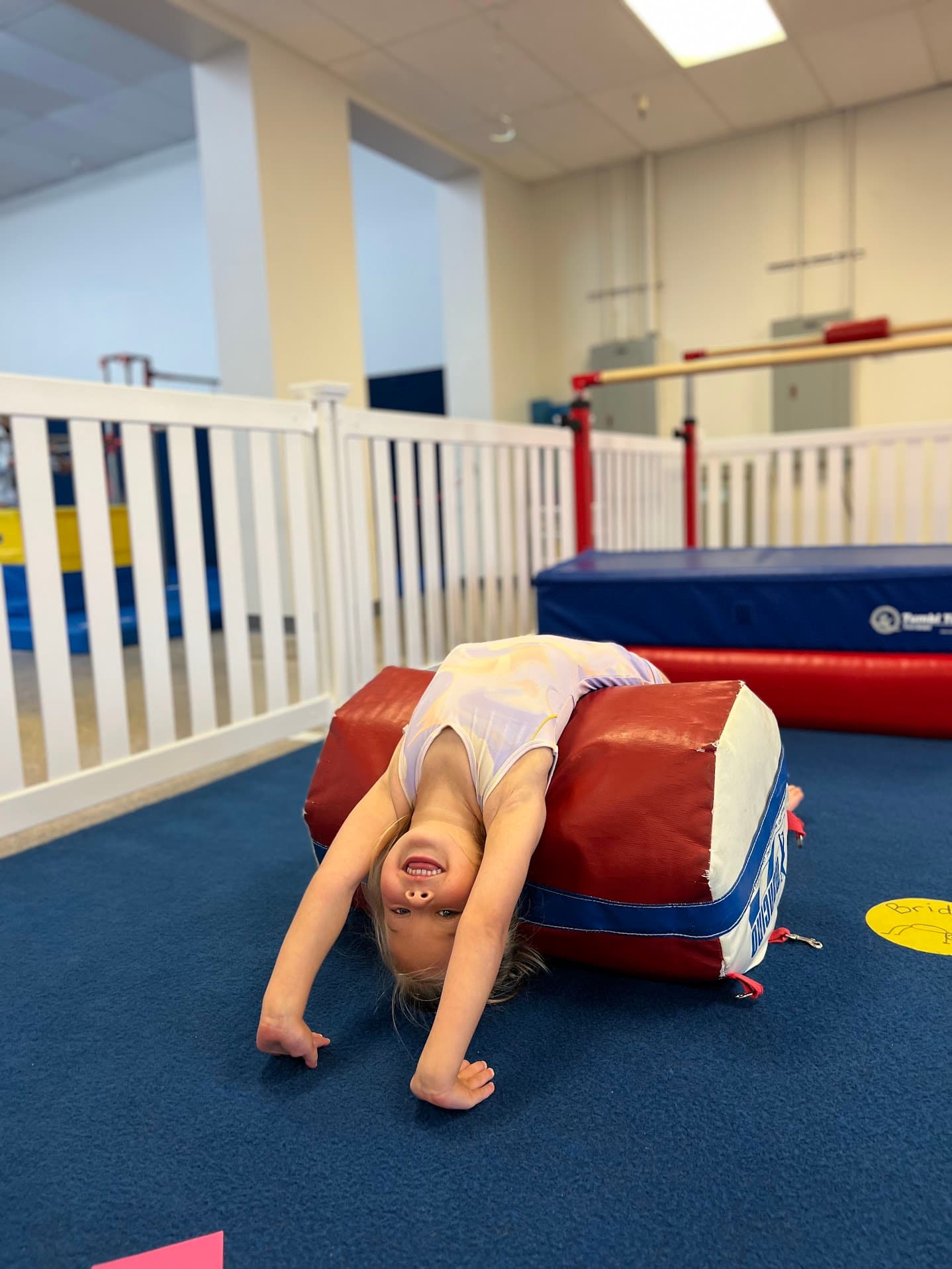 Program description 01